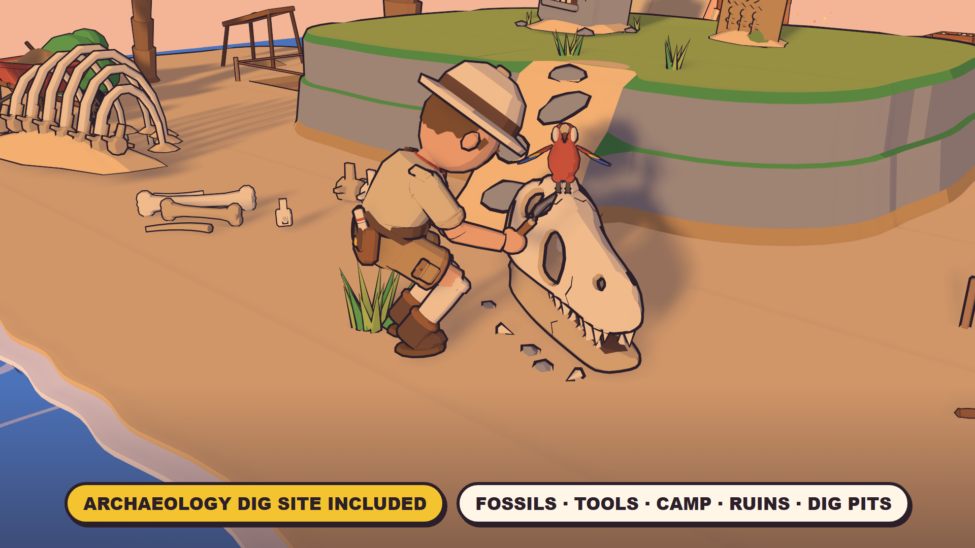 The archaeology dig site